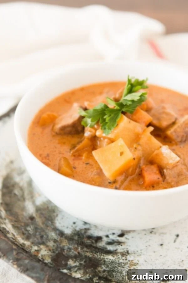 Delicious Homemade Beef Stew A Generous Portion of Mom's Homemade Slow Cooker Stew Ready to Serve