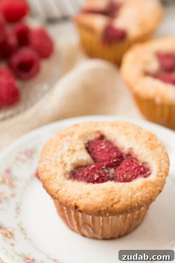 Moist and Flavorful Raspberry Cream Cheese Muffins with a Citrus Twist Close-up of fluffy Raspberry Cream Cheese Muffins, showcasing juicy raspberries and creamy filling