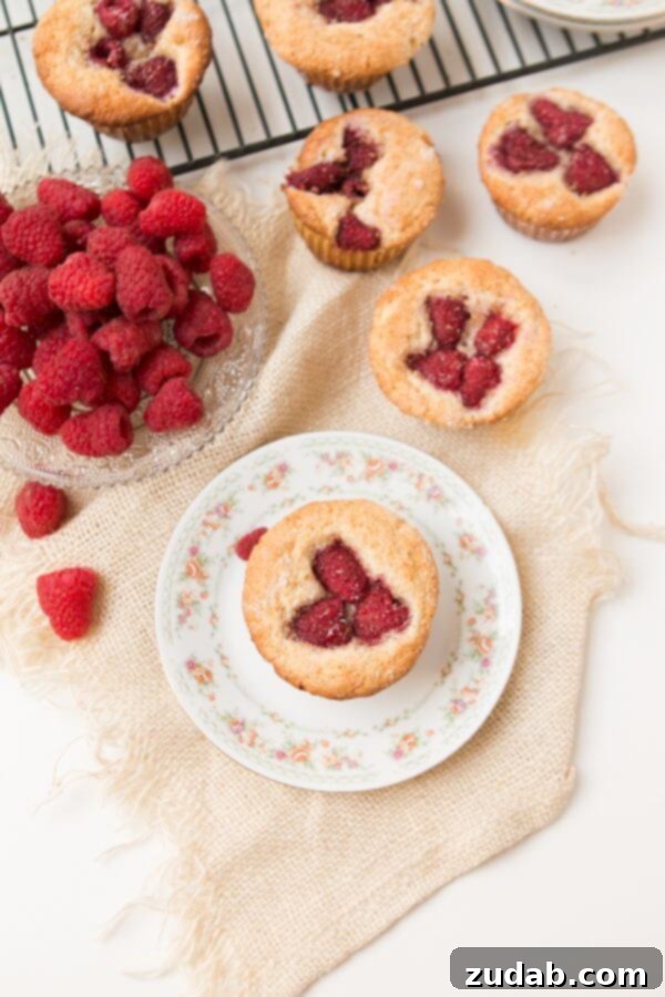 Raspberry Cheesecake Swirl Muffins 2 Plate of Raspberry Cream Cheese Muffins, ready to be enjoyed with various toppings