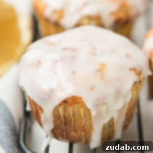 Best lemon poppy seed muffins