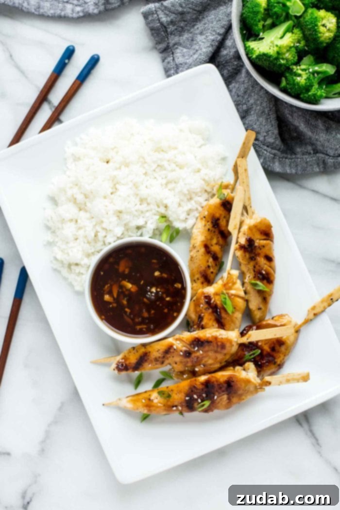 Sticky Honey Garlic Chicken Skewers 2 Delicious Asian Chicken Skewers with Honey Garlic Dipping Sauce