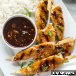 Sticky Honey Garlic Chicken Skewers 6 Asian Chicken Skewers with Honey Garlic Dipping Sauce