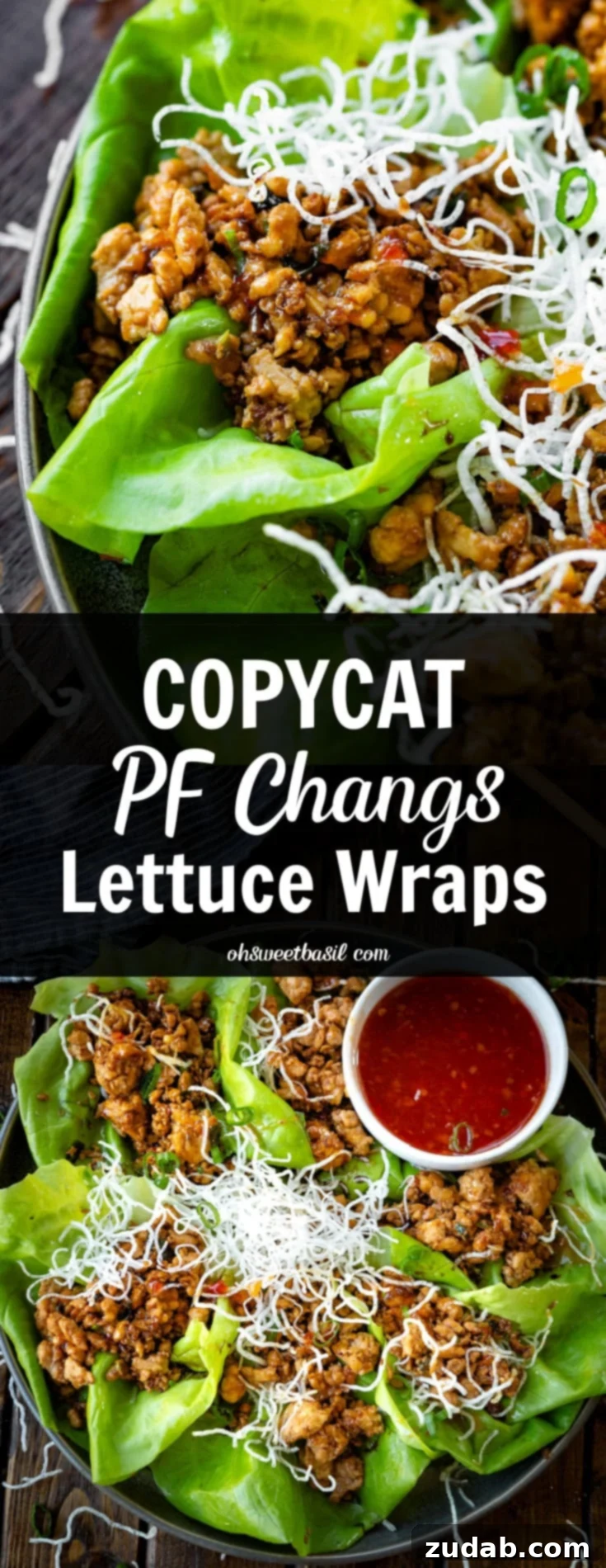 PF Chang's Inspired Chicken Lettuce Wraps 3 img 4501 9