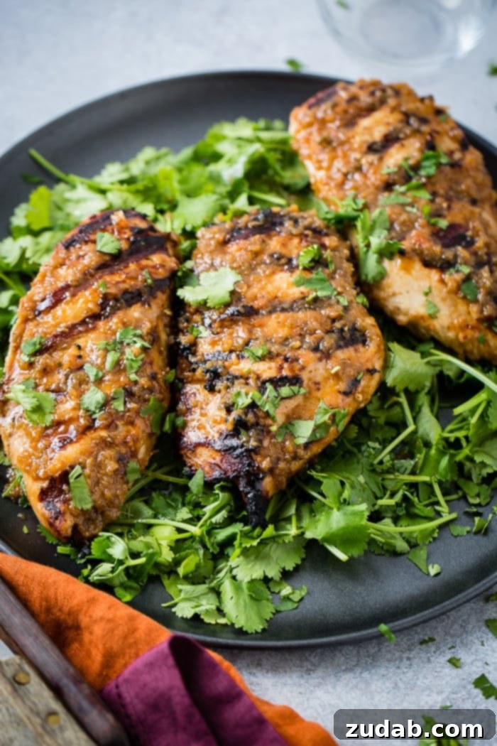 Aromatic Asian Ginger Marinade for Perfect Grilled Chicken 3 a dark grey platter with a bed of fresh cilantro piled with Asian Ginger Marinade for Grilled Chicken recipe
