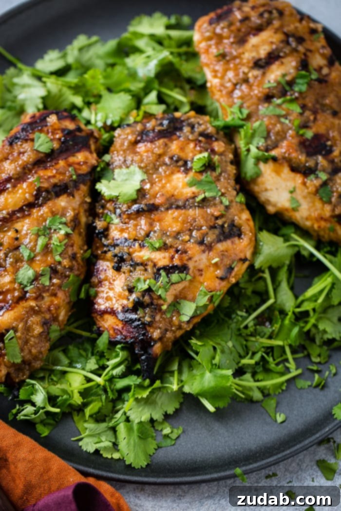 Aromatic Asian Ginger Marinade for Perfect Grilled Chicken 4 a dark grey platter with a bed of fresh cilantro piled with Asian Ginger Marinade for Grilled Chicken recipe