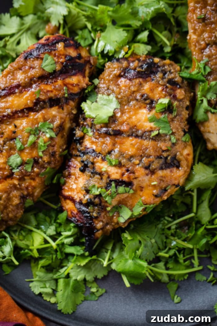 Aromatic Asian Ginger Marinade for Perfect Grilled Chicken 5 a dark grey platter with a bed of fresh cilantro piled with Asian Ginger Marinade for Grilled Chicken recipe
