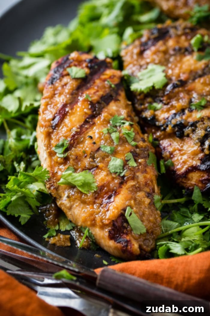 Aromatic Asian Ginger Marinade for Perfect Grilled Chicken 6 a dark grey platter with a bed of fresh cilantro piled with Asian Ginger Marinade for Grilled Chicken recipe