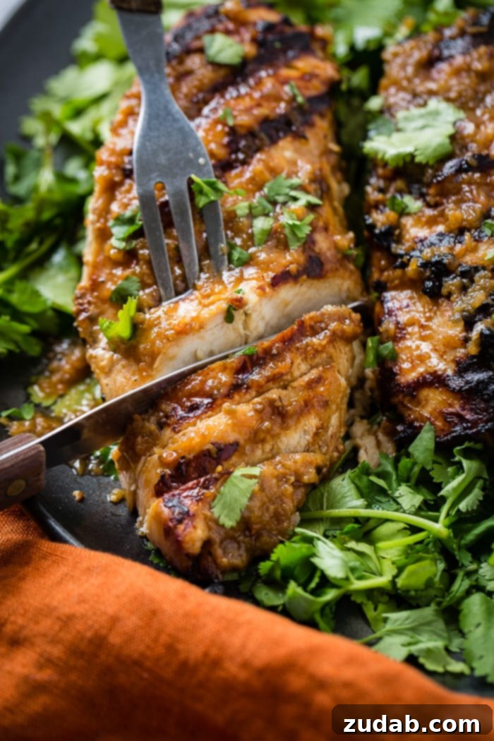 Aromatic Asian Ginger Marinade for Perfect Grilled Chicken 7 a dark grey platter with a bed of fresh cilantro piled with Asian Ginger Marinade for Grilled Chicken recipe