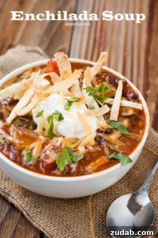 Hearty Enchilada Soup for any season A vibrant bowl of homemade Enchilada Soup, garnished with fresh cilantro and cheese, ready to be enjoyed as a comforting meal.
