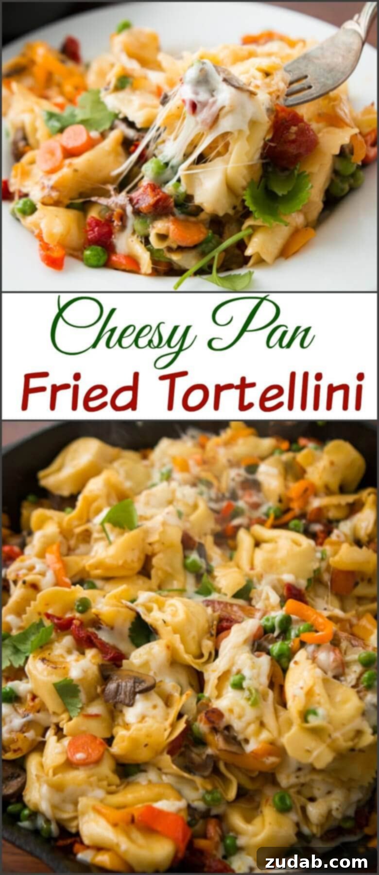 Golden Pan-Fried Cheesy Tortellini 8 This is one of our favorite dinners, cheesy pan fried tortellini. My husband made up the recipe and it looks almost too simple, but it's delicious!