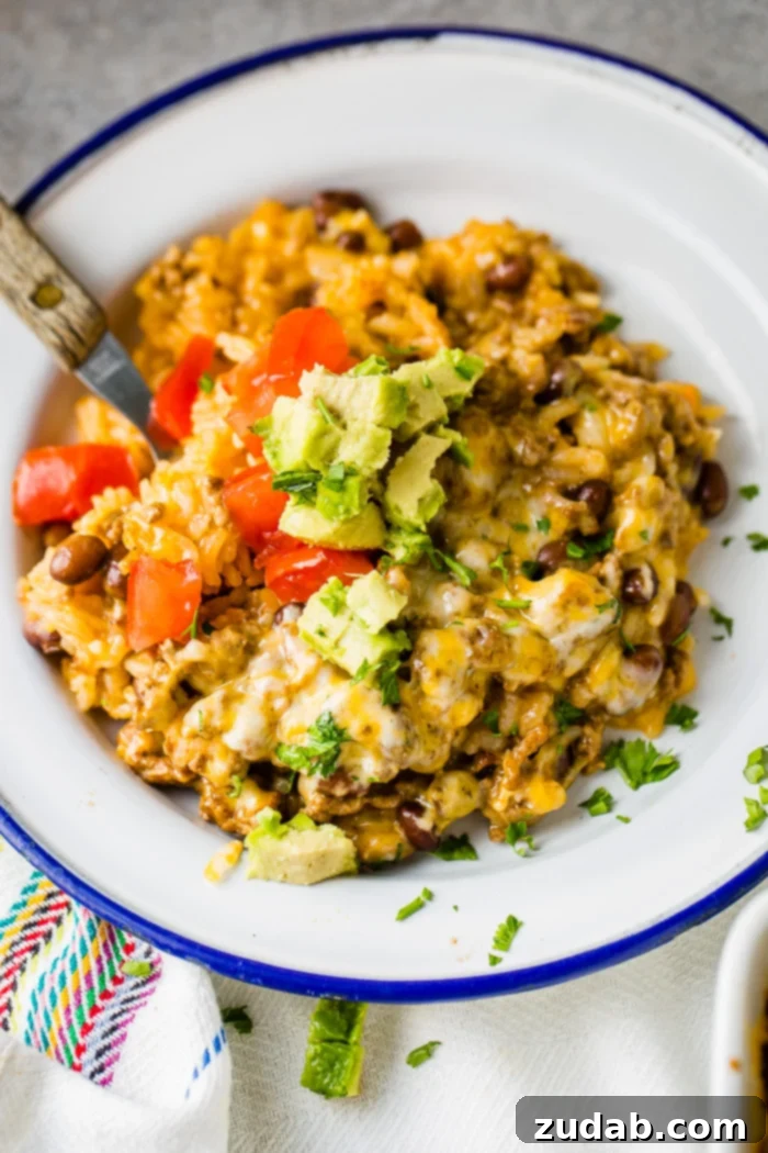 Zesty Beef and Rice Cheese Bake 7 A blue-rimmed white dish filled with a serving of Mexican rice casserole, topped with fresh avocado and cilantro.