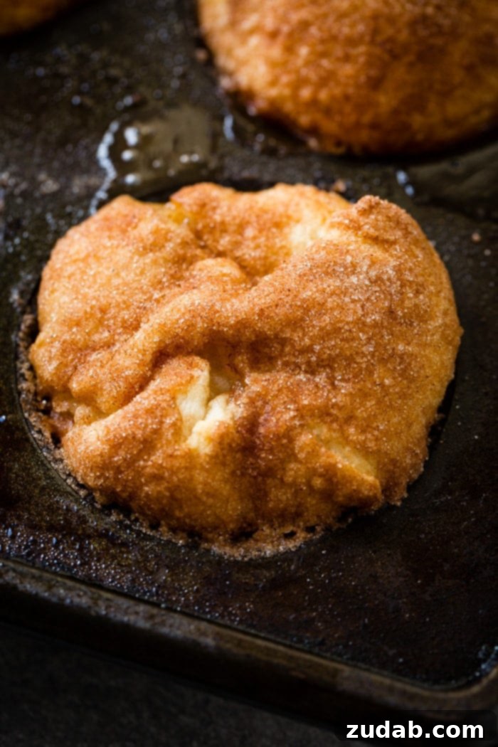 Apple Empty Tomb Rolls 9 Delicious Apple Empty Tomb Rolls cooling on a wire rack, sprinkled with cinnamon sugar