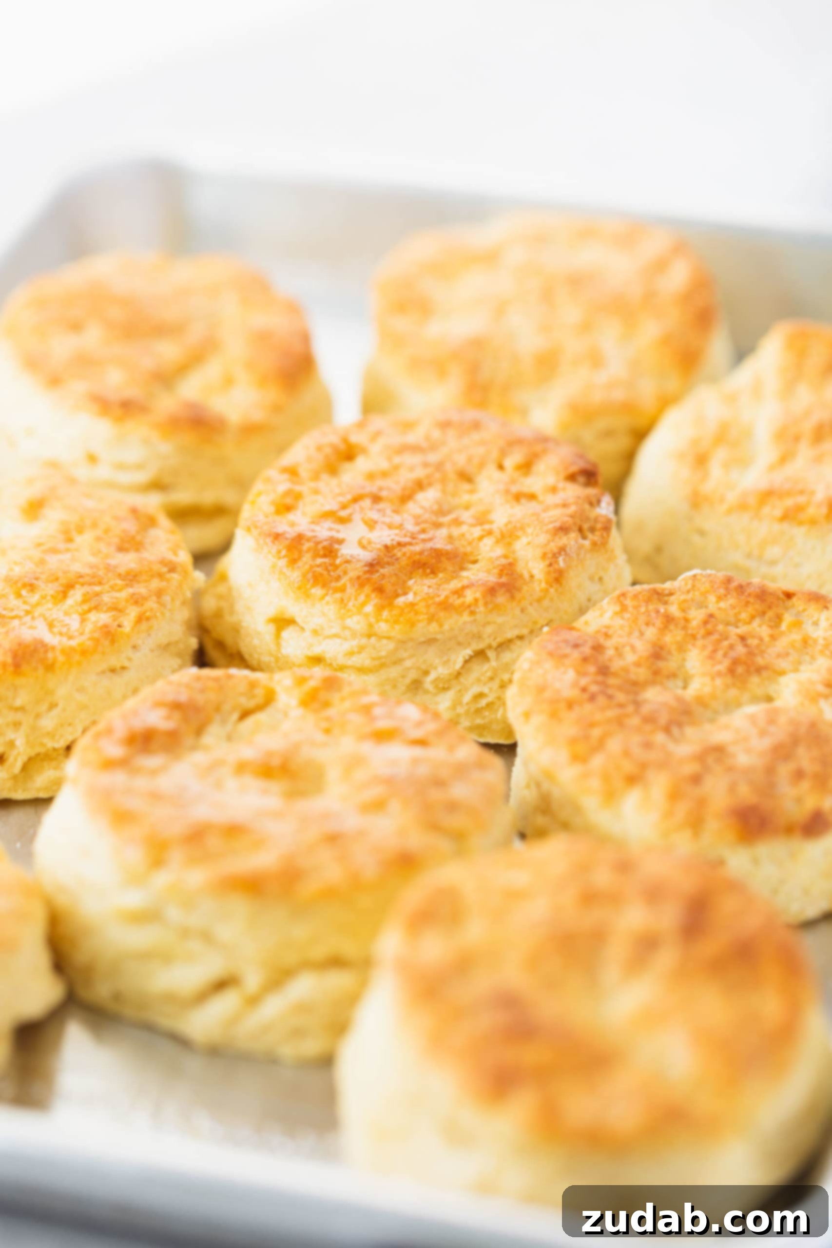 Buttermilk Biscuits A pan full of buttermilk biscuits. They are baked to a golden brown.