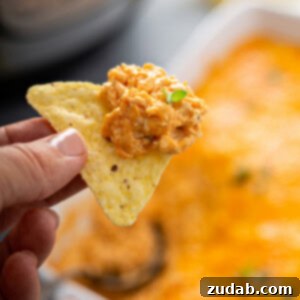 Creamy Instant Pot Buffalo Chicken Dip 2 img 46495 13