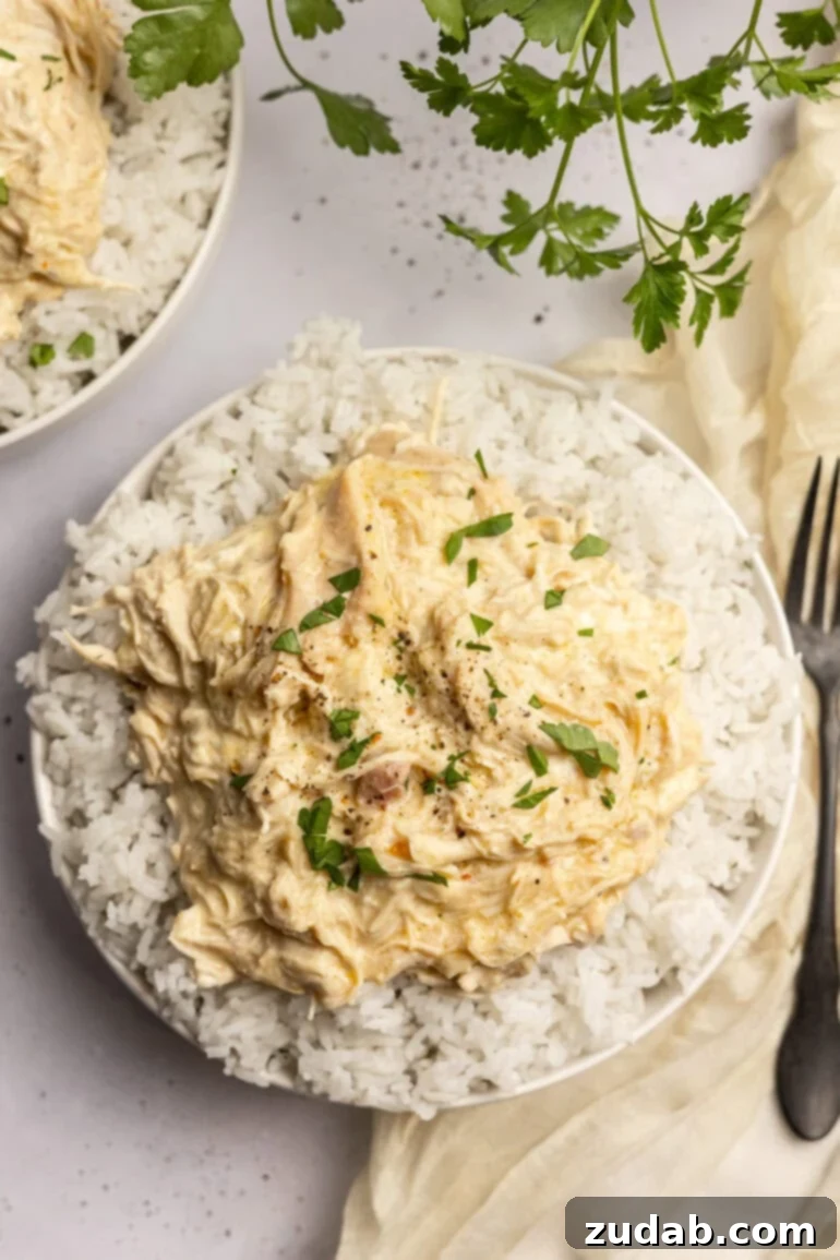 Set It and Forget It Chicken and Rice 2 Overhead shot of shredded chicken served over rice in a white bowl with fresh herbs.