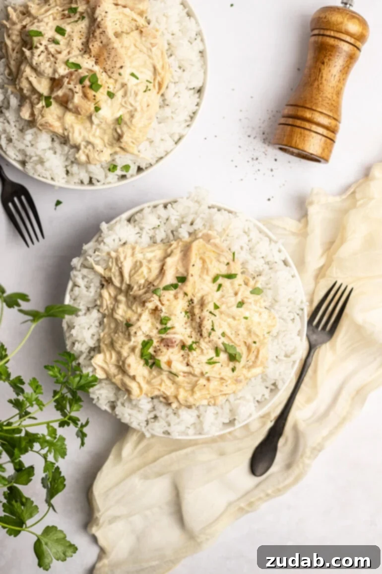 Set It and Forget It Chicken and Rice 5 White bowl filled with shredded creamy chicken over rice, topped with parsley.