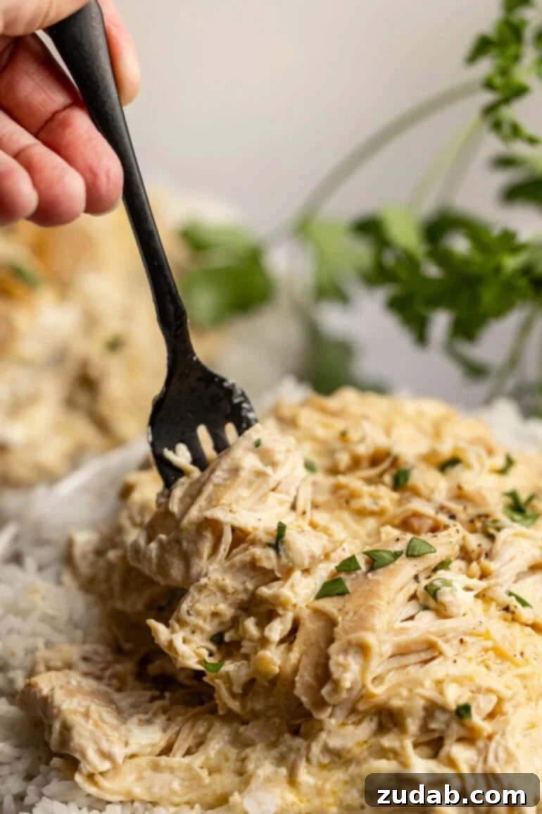 Set It and Forget It Chicken and Rice 6 Side angle view of creamy shredded chicken served hot on rice with parsley sprinkled on top.