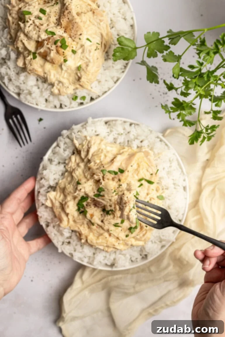 Set It and Forget It Chicken and Rice 7 Forkful of creamy shredded chicken held over a bowl with rice.