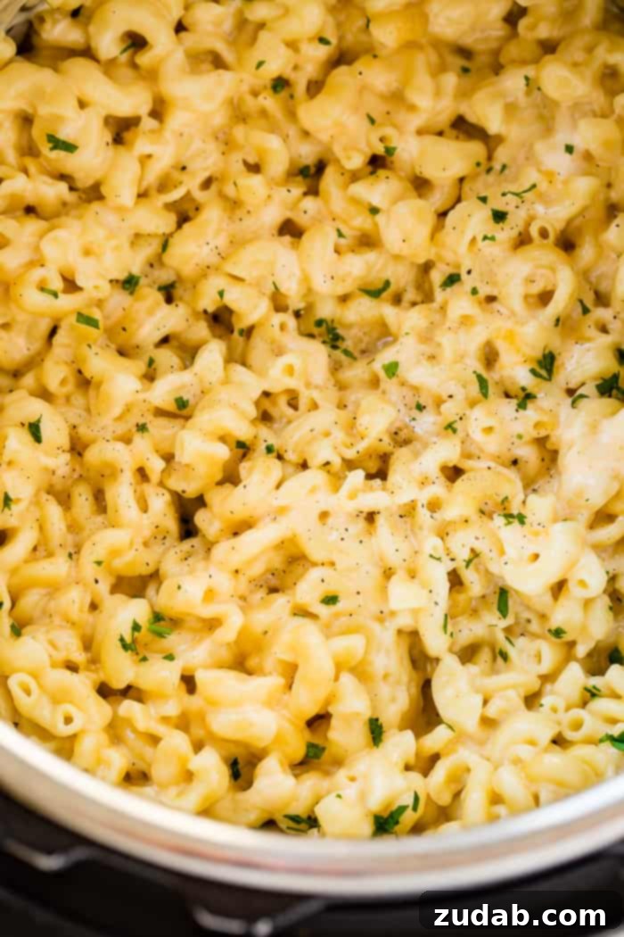 Creamy Instant Pot Southern Macaroni and Cheese 2 An Instant Pot filled with creamy, rich, and cheesy southern macaroni and cheese, ready to be served.