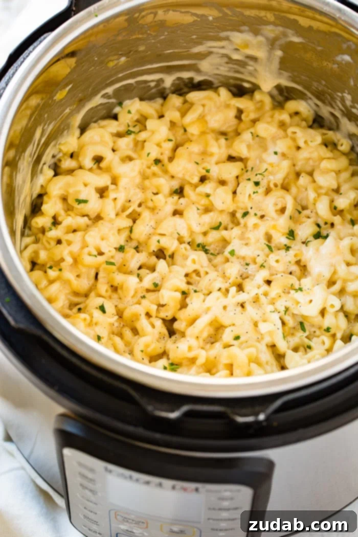 Creamy Instant Pot Southern Macaroni and Cheese 3 A close-up of the creamy, cheesy Instant Pot macaroni and cheese, showcasing its rich texture.