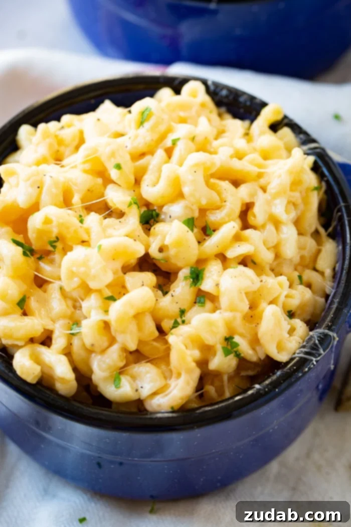 Creamy Instant Pot Southern Macaroni and Cheese 5 A blue dish full of elbow macaroni and cheese, showcasing the perfect consistency achieved with the Instant Pot macaroni and cheese recipe.