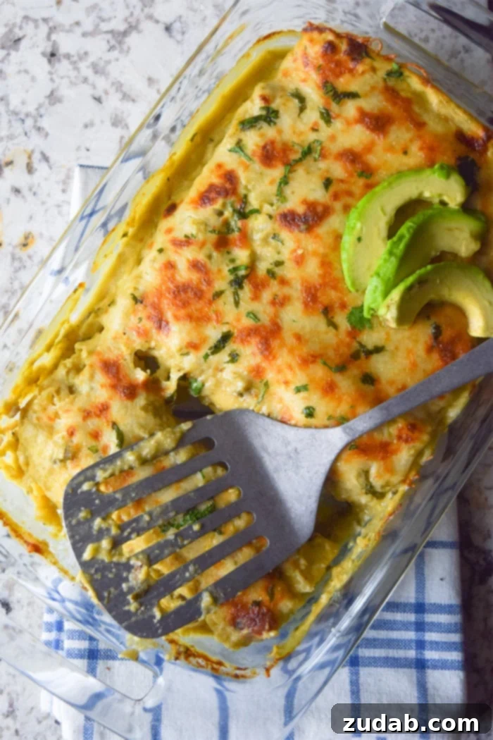 Plated Roasted Tomatillo Chicken Enchiladas, topped with fresh cilantro and sour cream.