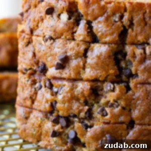 Decadent Chocolate Chip Zucchini Bread 7 img 47072 6