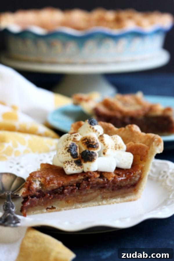 Sweet Potato Cheesecake Pie 4 Decadent S'mores Bomb Pie featuring a buttery graham cracker crust, a rich, gooey chocolate filling, and a perfectly toasted marshmallow topping, showcasing a delightful indoor campfire dessert from wildwildwhisk.com.