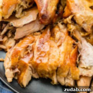A delicious, perfectly cooked turkey in a bowl