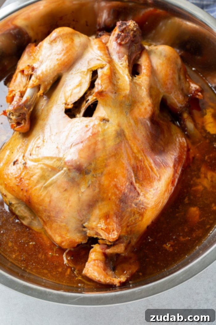 A perfectly golden-brown, whole turkey rests in its own rich juices within a large, gleaming metal mixing bowl, showcasing the success of the 'turkey in a bowl' cooking method.