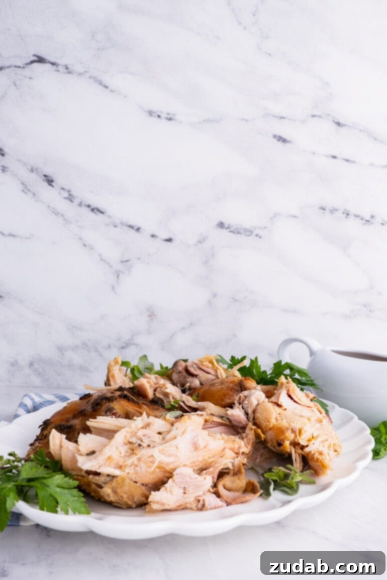 A large, elegant platter of juicy, perfectly sliced turkey meat, garnished with a sprinkle of fresh green herbs, ready to be served.