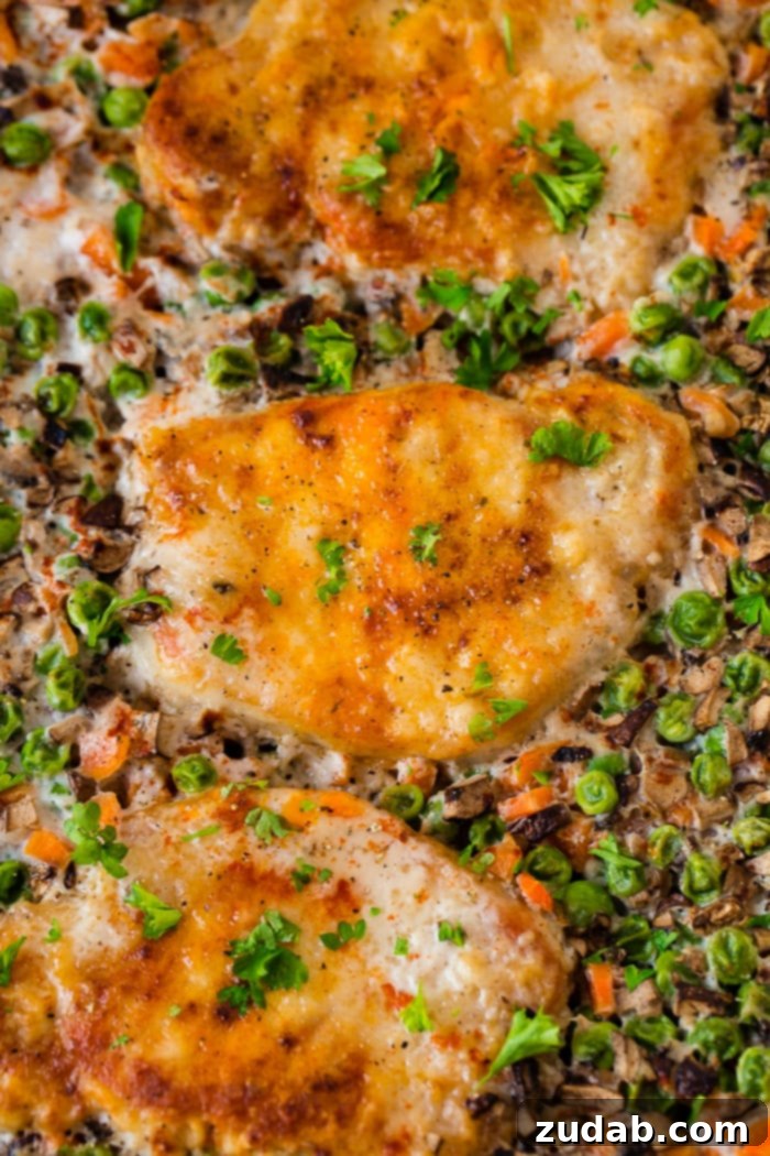 Effortless Pork Chop and Rice Dinner 3 A close up photo of golden baked pork chops on a bed of rice and vegetables garnished with fresh parsley, highlighting the perfect sear and tenderness