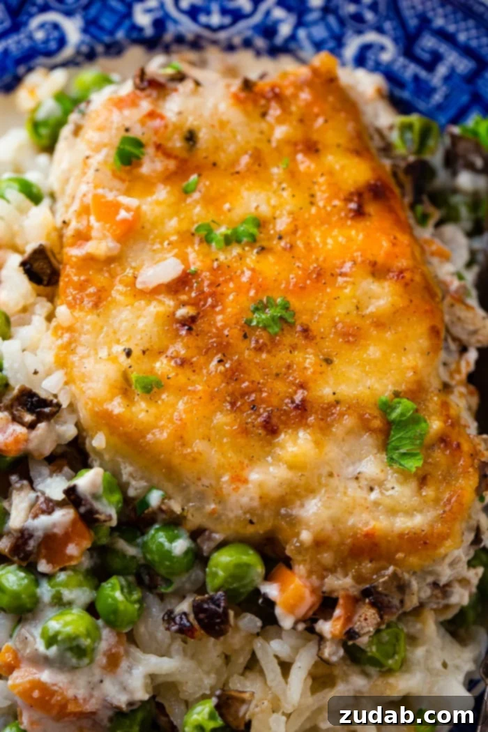Effortless Pork Chop and Rice Dinner 4 A photo of a golden baked pork chop on a bed of rice and vegetables all served on a blue plate garnished with fresh parsley, emphasizing rich flavor