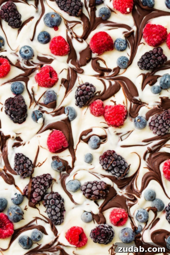 Wholesome Chocolate Ripple Berry Yogurt Bark 2 A vibrant pan of healthy chocolate swirled berry frozen yogurt bark, garnished with fresh mixed berries.