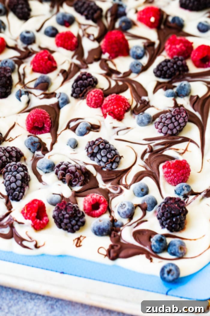 Wholesome Chocolate Ripple Berry Yogurt Bark 3 Close-up of healthy chocolate swirled berry frozen yogurt bark, showing rich textures and vibrant colors.