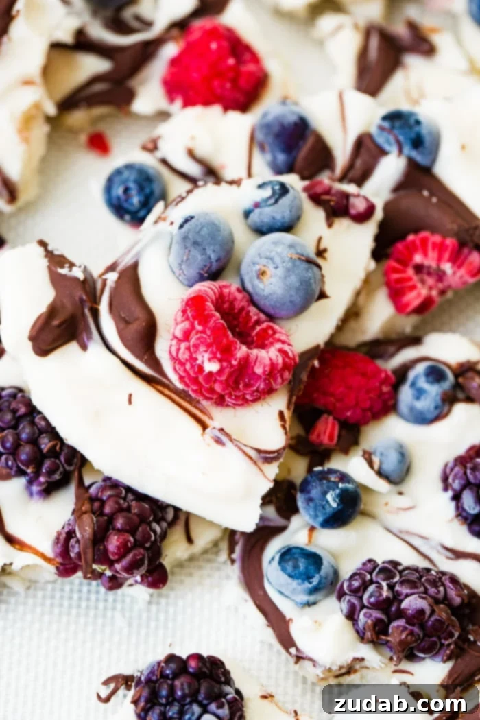 Wholesome Chocolate Ripple Berry Yogurt Bark 4 A serving of healthy chocolate swirled berry frozen yogurt bark broken into pieces, ready to eat.