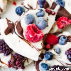 Wholesome Chocolate Ripple Berry Yogurt Bark 8 Healthy Chocolate Swirl Berry Yogurt Bark