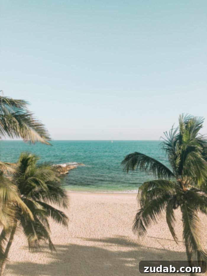 Unlock Mexico's Best Stays 17 Tastefully decorated interior space within Casa Mariposa, showcasing modern design