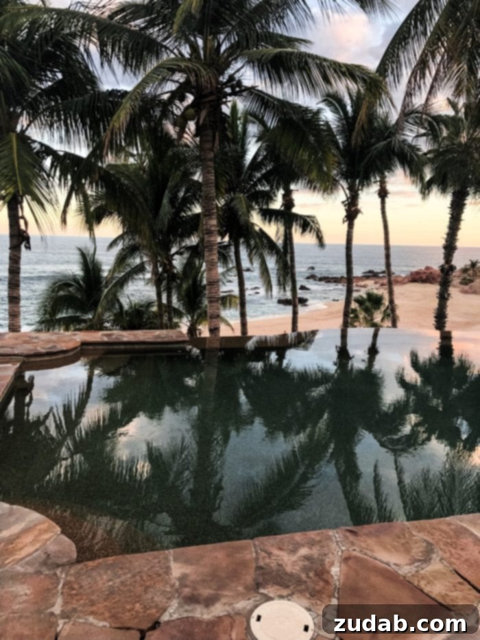 Unlock Mexico's Best Stays 5 A stunning infinity pool overlooking the serene beach and vibrant palm trees in San Jose del Cabo, Mexico