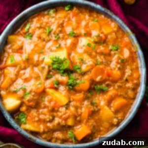Hearty Weeknight Ground Beef Stew 9 img 48533 8