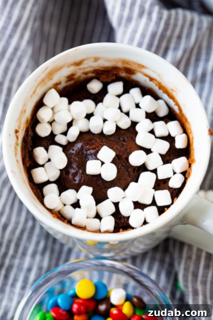 A close-up photo of a white mug filled with a warm, fudgy brownie, crowned with a generous heap of fluffy mini marshmallows. The marshmallows are just beginning to melt into the warm chocolate, creating an inviting, comforting visual.