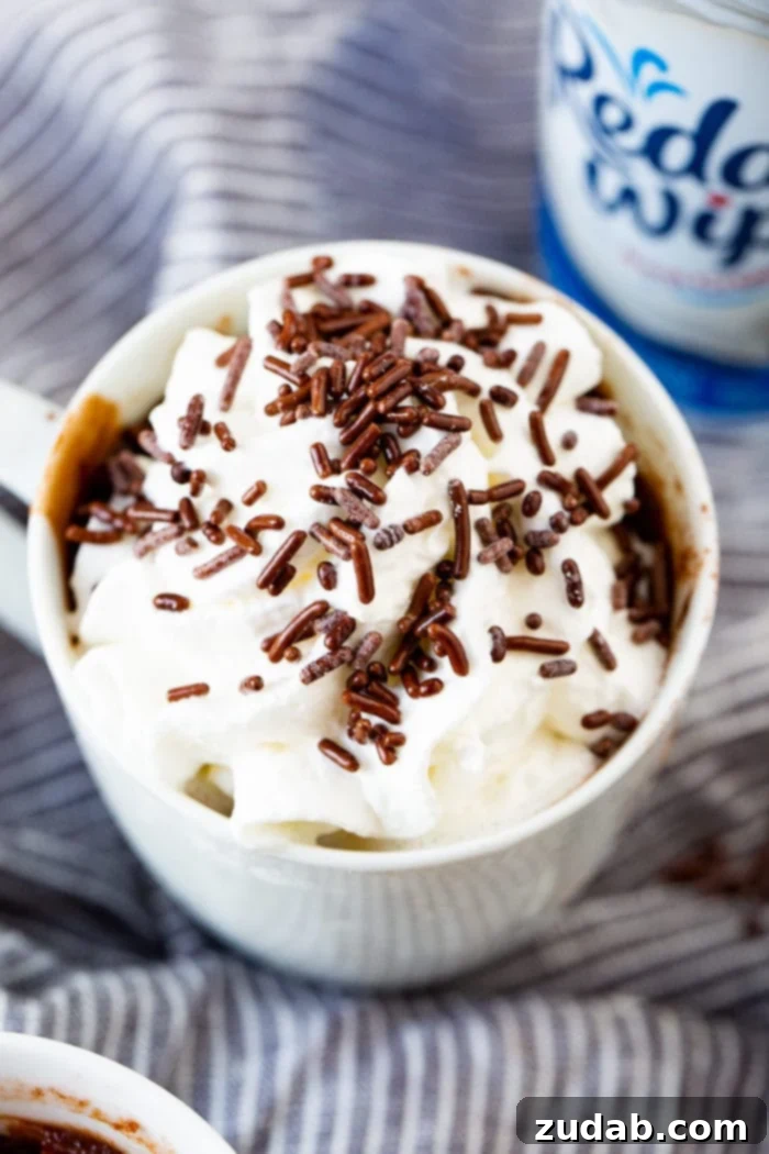 A white mug filled with a perfectly baked brownie, topped generously with a swirl of whipped cream and a festive scattering of chocolate sprinkles. This single-serving dessert promises a quick and delightful treat.