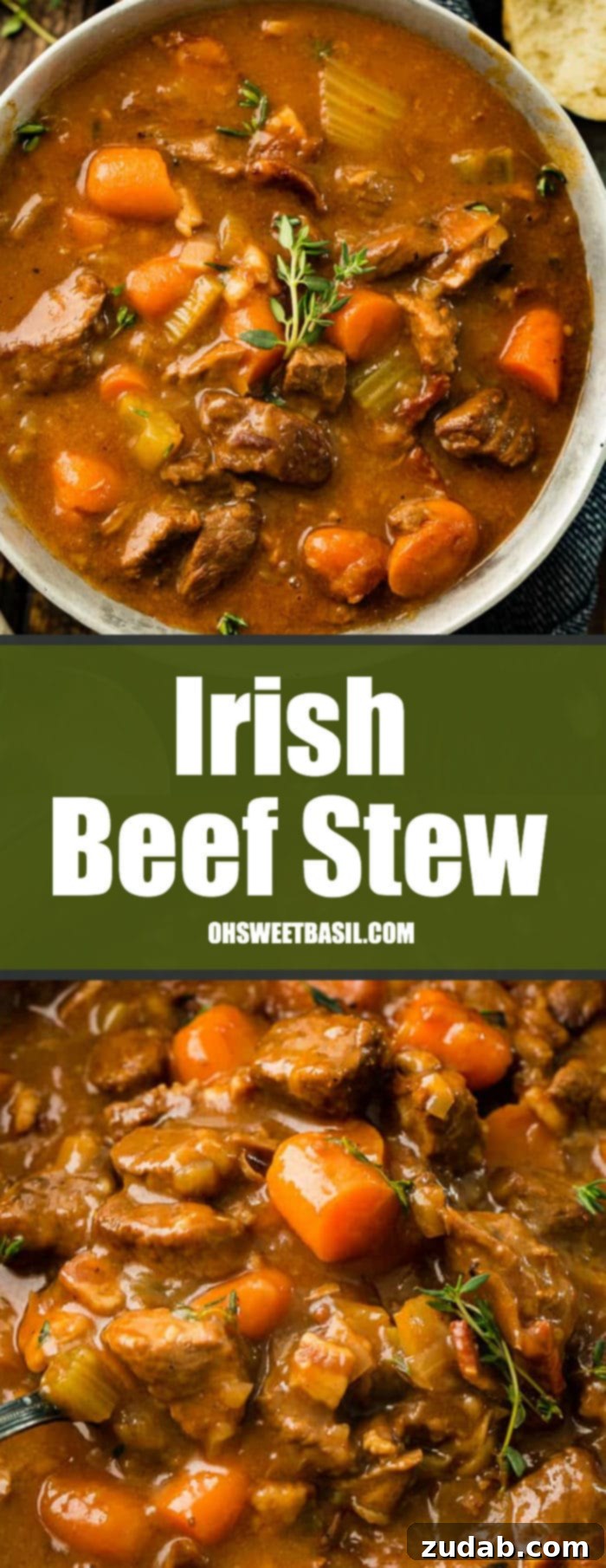 Hearty Irish Guinness Stew 8 A beautifully composed shot of Irish Beef Stew, emphasizing its rich texture and presentation.