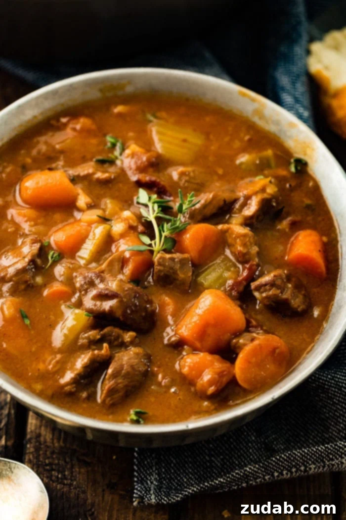 Hearty Irish Guinness Stew 5 A full bowl of Irish Beef Stew, ready to be enjoyed, highlighting its comforting appeal.