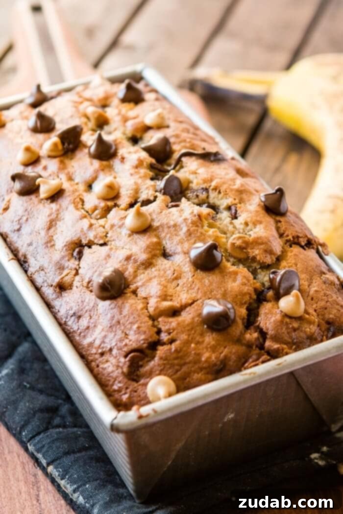 Peanut Butter Swirl Banana Bread 3 A perfectly baked, golden-brown loaf of peanut butter banana bread, adorned with visible melted chocolate and peanut butter chips on its crust, cooling on a rack.