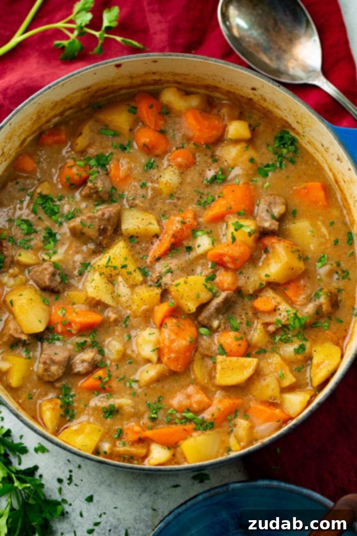 Hearty Old-Fashioned Beef Stew 2 A photo of a dutch oven full of cooked beef stew containing beef chunks, potatoes, and carrots and garnished with chopped fresh parsley. A truly comforting and timeless meal perfect for any season.