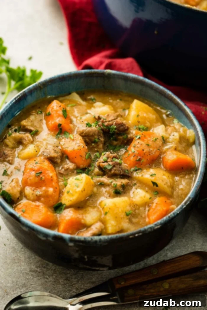 Hearty Old-Fashioned Beef Stew 3 A photo of a bowl of beef stew with chunks of beef, potatoes, and carrots, and garnished with fresh parsley, highlighting the rich texture.