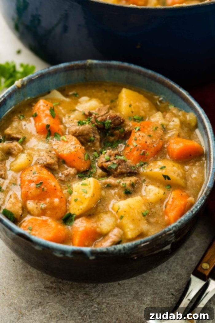 Hearty Old-Fashioned Beef Stew 5 A photo of a bowl of beef stew with chunks of beef, potatoes, and carrots, and garnished with fresh parsley, ready to be enjoyed.