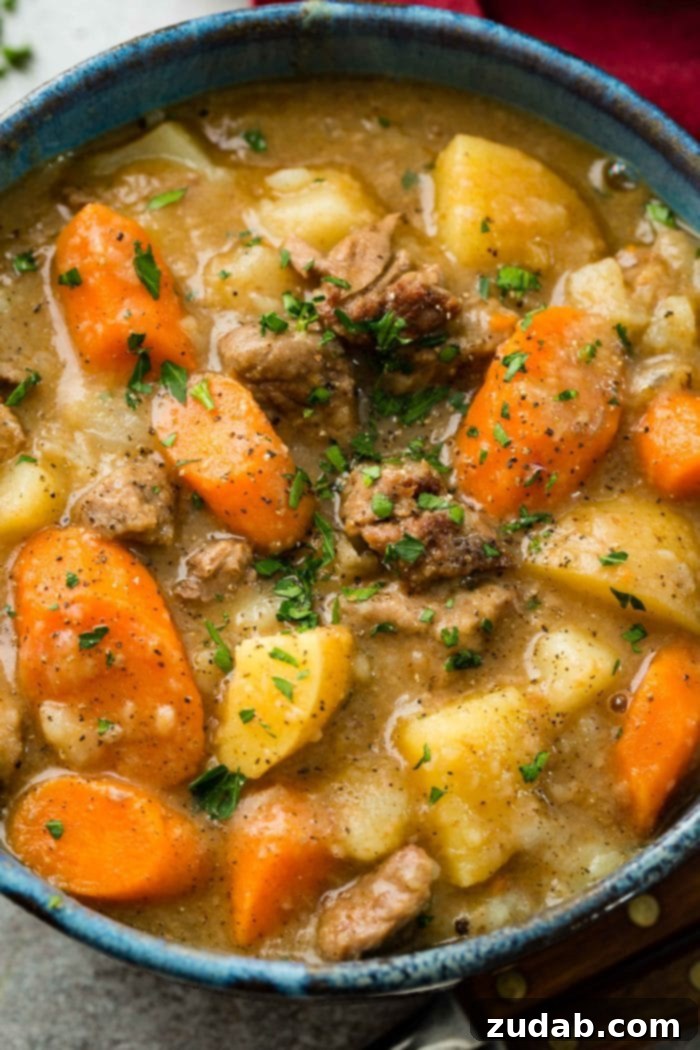 Hearty Old-Fashioned Beef Stew 7 A close up photo of a bowl of beef stew with chunks of beef, potatoes, and carrots, and garnished with fresh parsley, showcasing the delicious gravy and tender meat.