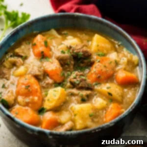 A beautifully presented bowl of Old Time Beef Stew, ready to be served.